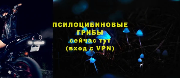 кокаин колумбия Белокуриха